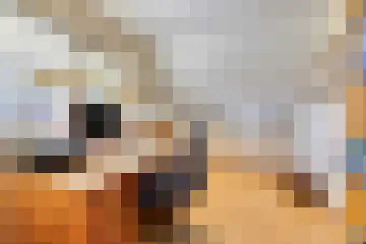 Princenhil 27 Lage Zwaluwe thumbnail 28
