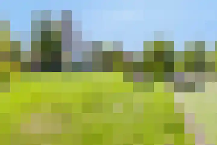 Princenhil 27 Lage Zwaluwe foto 3