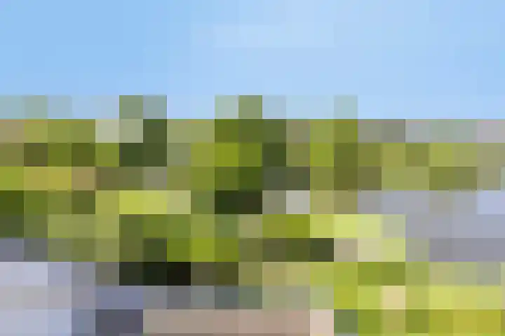 Princenhil 27 Lage Zwaluwe thumbnail 33