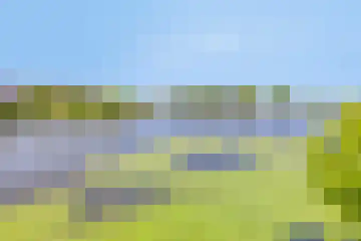 Princenhil 27 Lage Zwaluwe thumbnail 38
