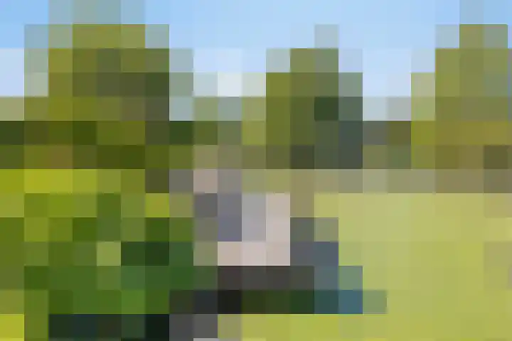 Princenhil 27 Lage Zwaluwe thumbnail 39