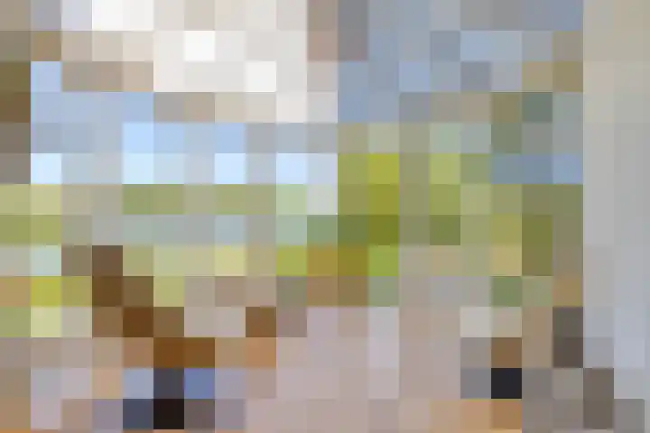 Princenhil 27 Lage Zwaluwe thumbnail 4