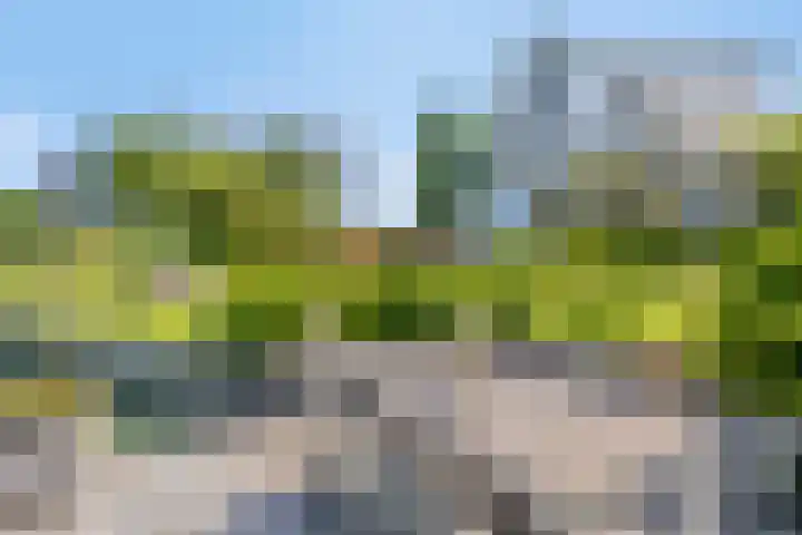 Princenhil 27 Lage Zwaluwe thumbnail 40