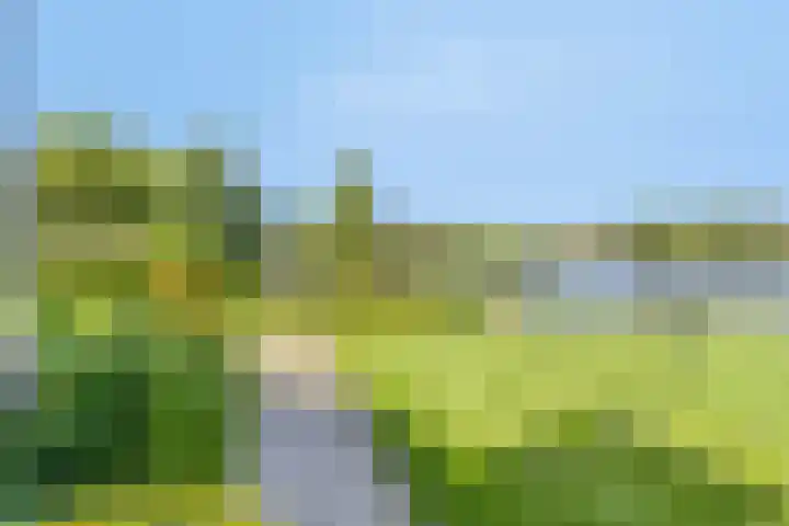 Princenhil 27 Lage Zwaluwe thumbnail 42