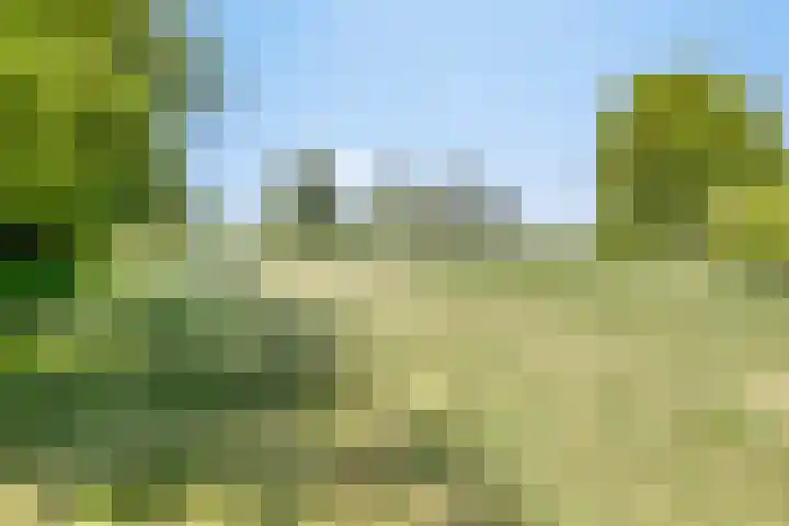 Princenhil 27 Lage Zwaluwe thumbnail 44