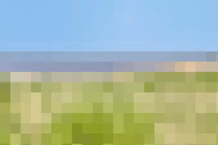 Princenhil 27 Lage Zwaluwe thumbnail 46