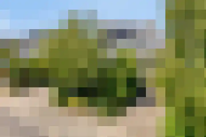 Princenhil 27 Lage Zwaluwe thumbnail 48
