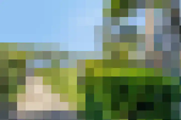 Princenhil 27 Lage Zwaluwe thumbnail 5