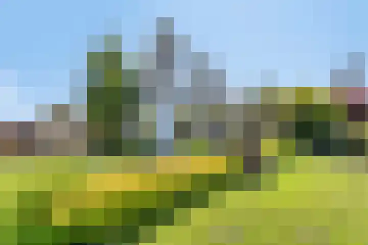 Princenhil 27 Lage Zwaluwe thumbnail 58