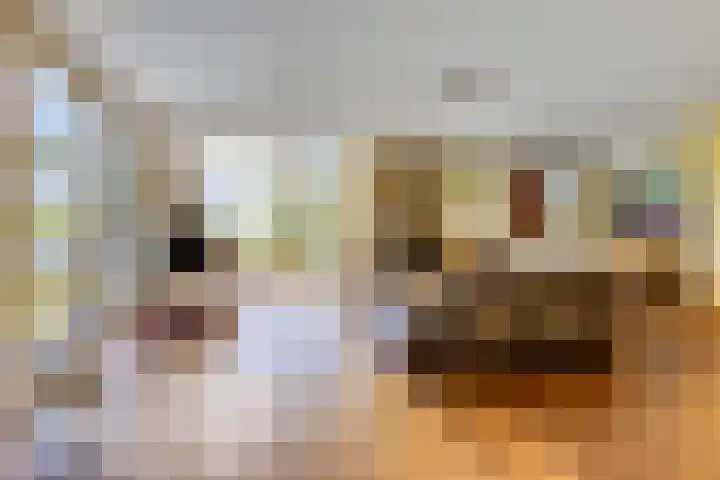 Princenhil 27 Lage Zwaluwe thumbnail 9