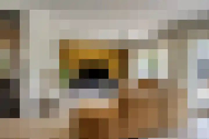 Princenhil 43 Lage Zwaluwe thumbnail 10