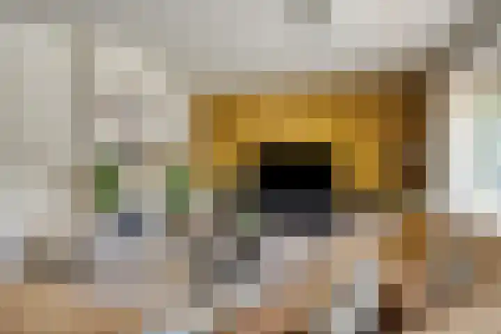 Princenhil 43 Lage Zwaluwe thumbnail 13