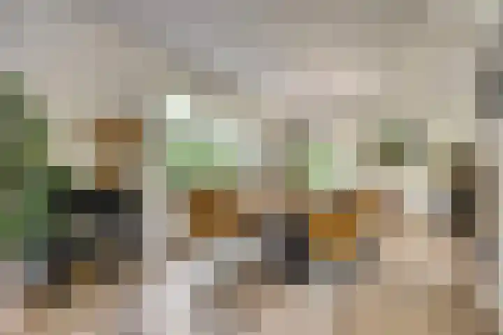 Princenhil 43 Lage Zwaluwe thumbnail 15