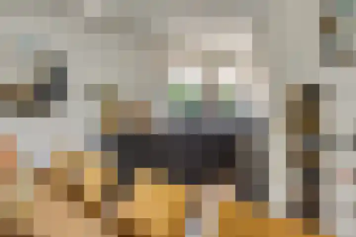 Princenhil 43 Lage Zwaluwe thumbnail 16