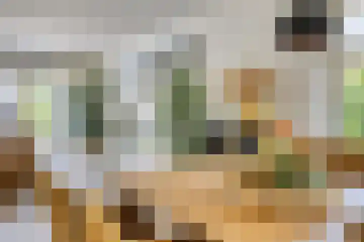 Princenhil 43 Lage Zwaluwe thumbnail 17