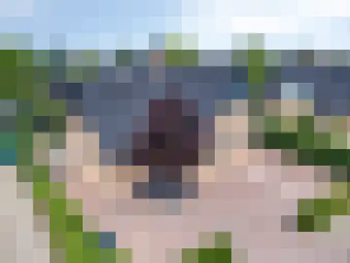Princenhil 43 Lage Zwaluwe foto 2