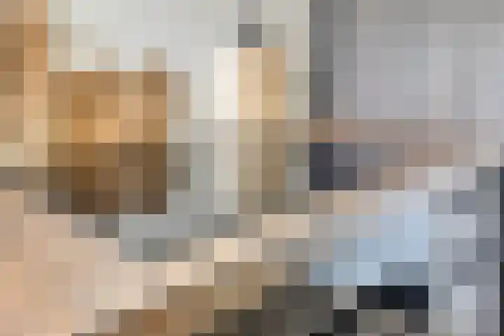 Princenhil 43 Lage Zwaluwe thumbnail 21