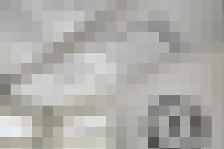 Princenhil 43 Lage Zwaluwe thumbnail 23