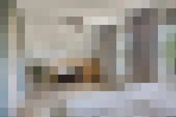 Princenhil 43 Lage Zwaluwe thumbnail 34