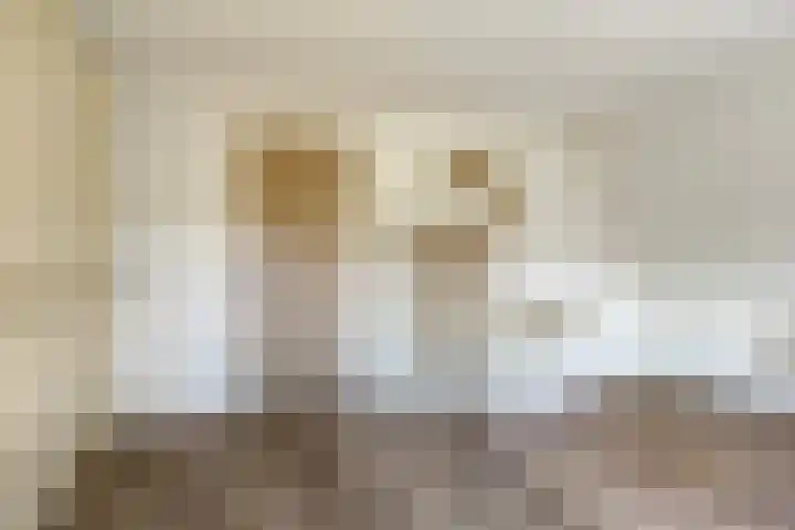 Princenhil 43 Lage Zwaluwe thumbnail 36