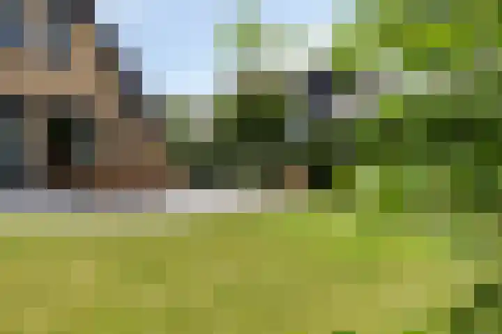 Princenhil 43 Lage Zwaluwe thumbnail 41