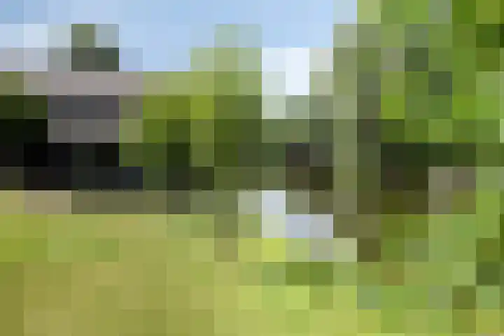 Princenhil 43 Lage Zwaluwe thumbnail 42