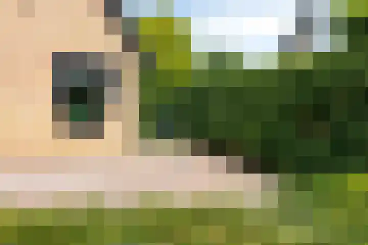 Princenhil 43 Lage Zwaluwe thumbnail 5