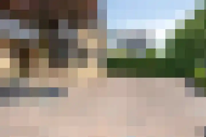 Princenhil 43 Lage Zwaluwe thumbnail 6