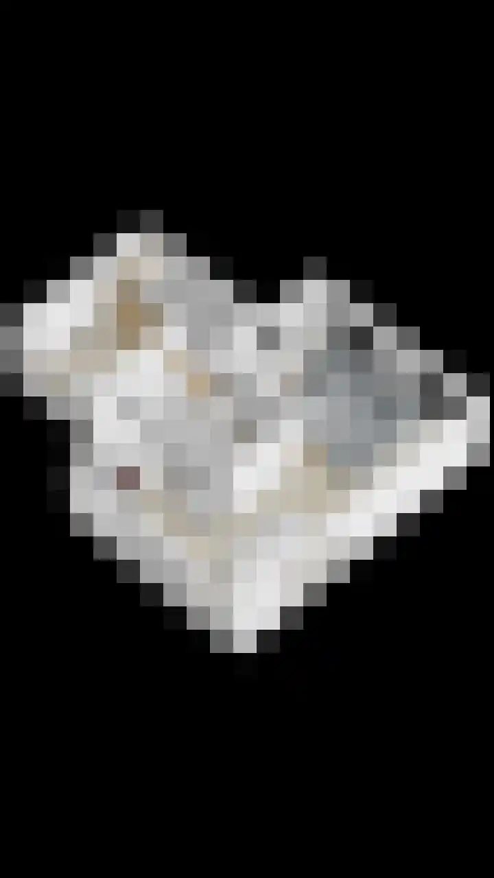 Princenhil 43 Lage Zwaluwe thumbnail 63