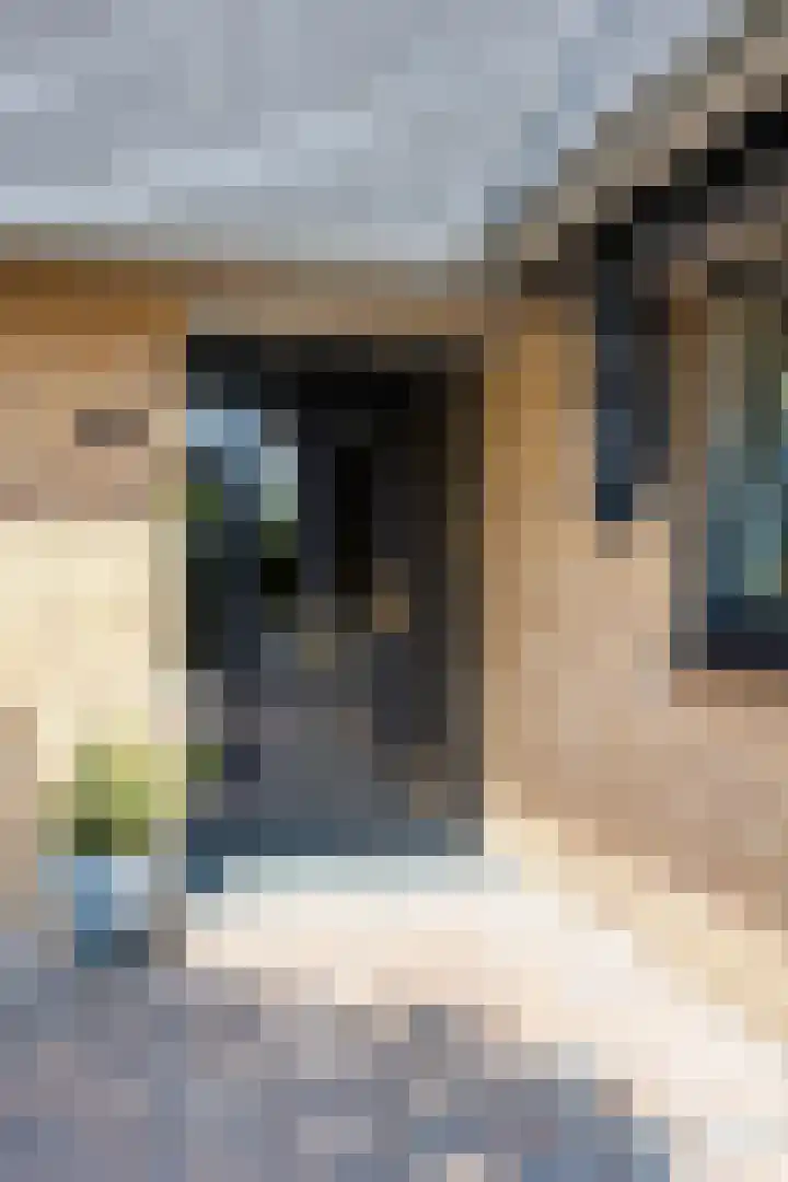 Princenhil 43 Lage Zwaluwe thumbnail 7