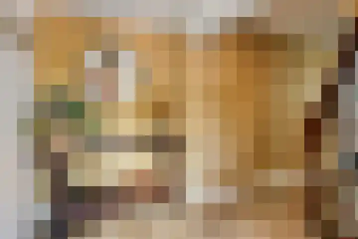 Princenhil 43 Lage Zwaluwe thumbnail 8