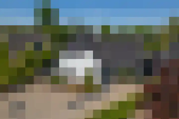 Princenhil 45 Lage Zwaluwe