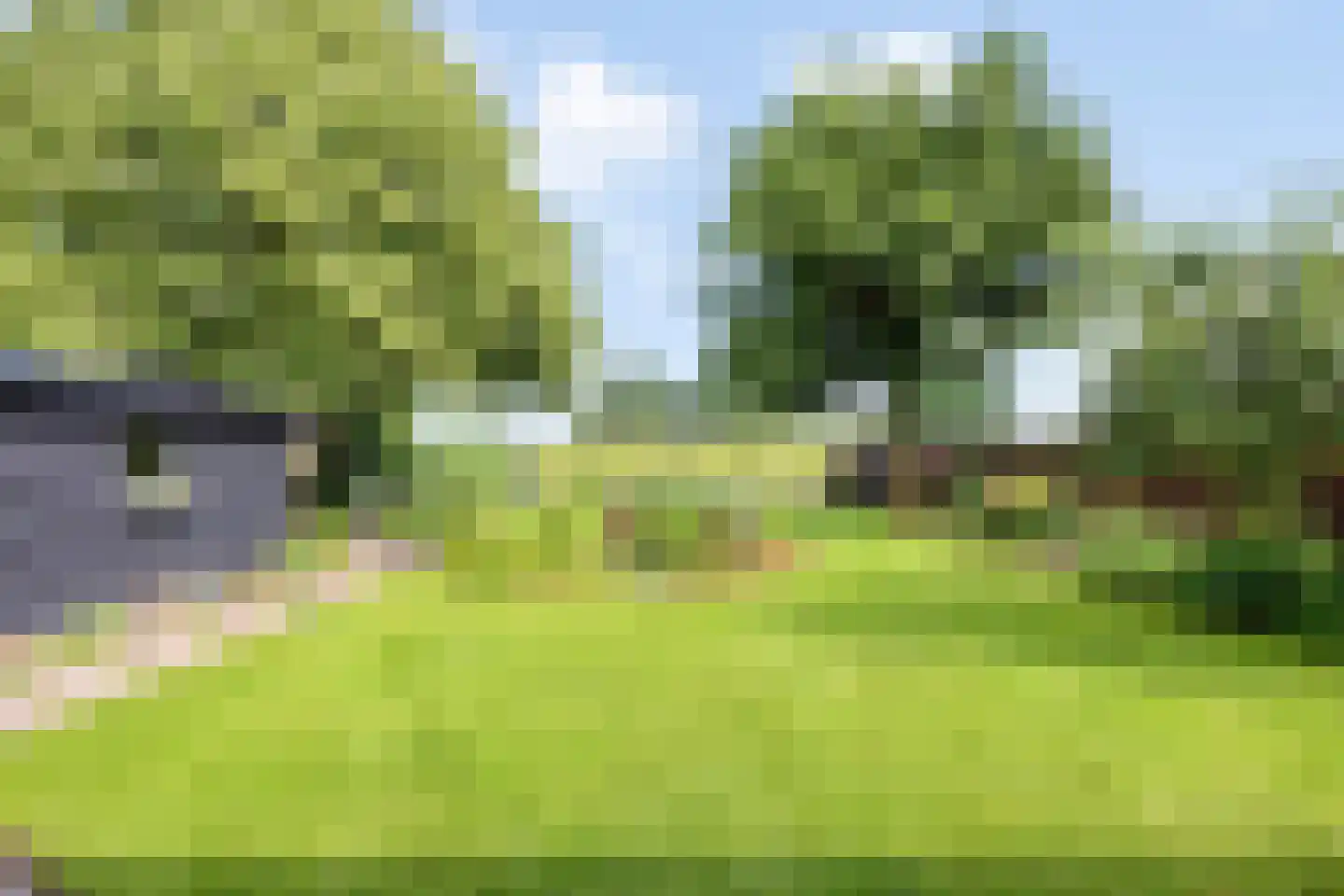 Princenhil 7 Lage Zwaluwe foto 2