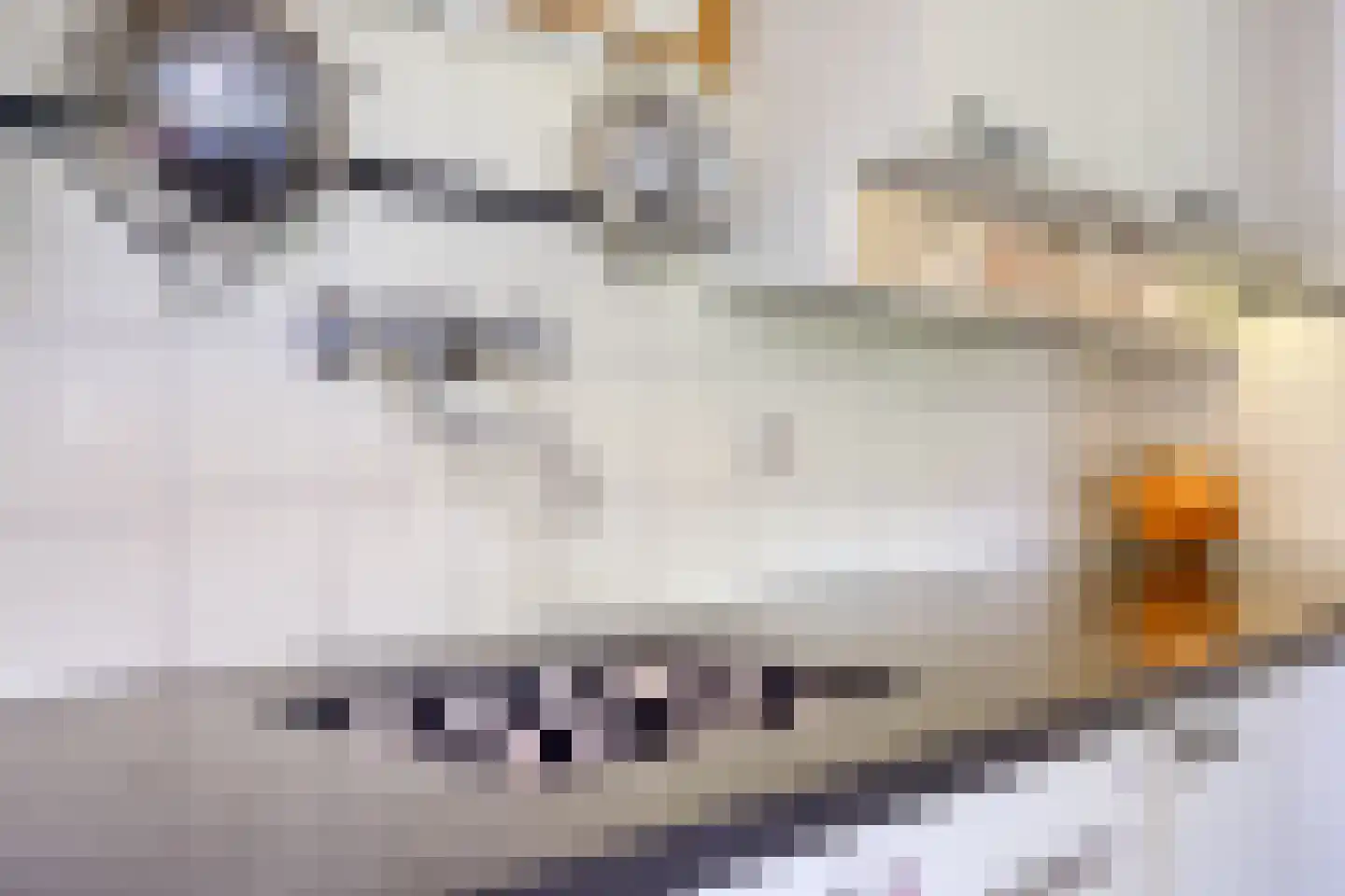 Princenhil 7 Lage Zwaluwe thumbnail 21