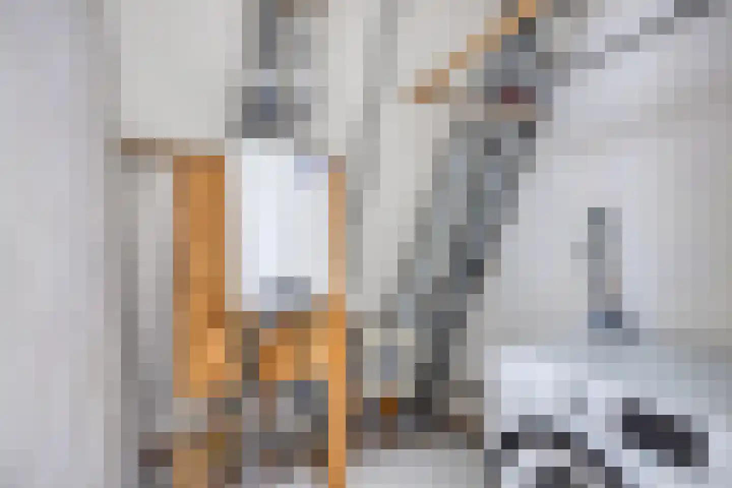 Princenhil 7 Lage Zwaluwe thumbnail 28