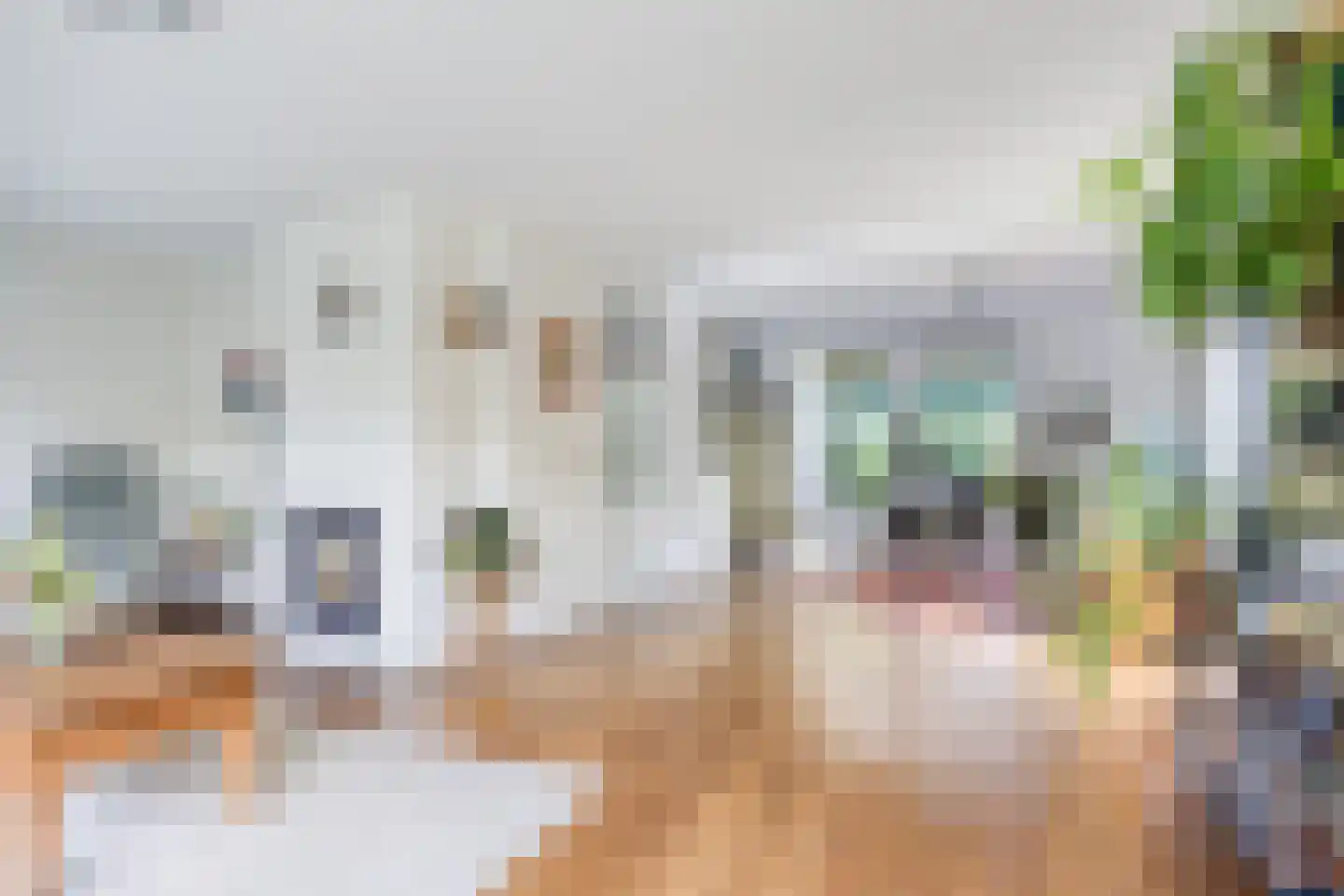 Princenhil 7 Lage Zwaluwe foto 3