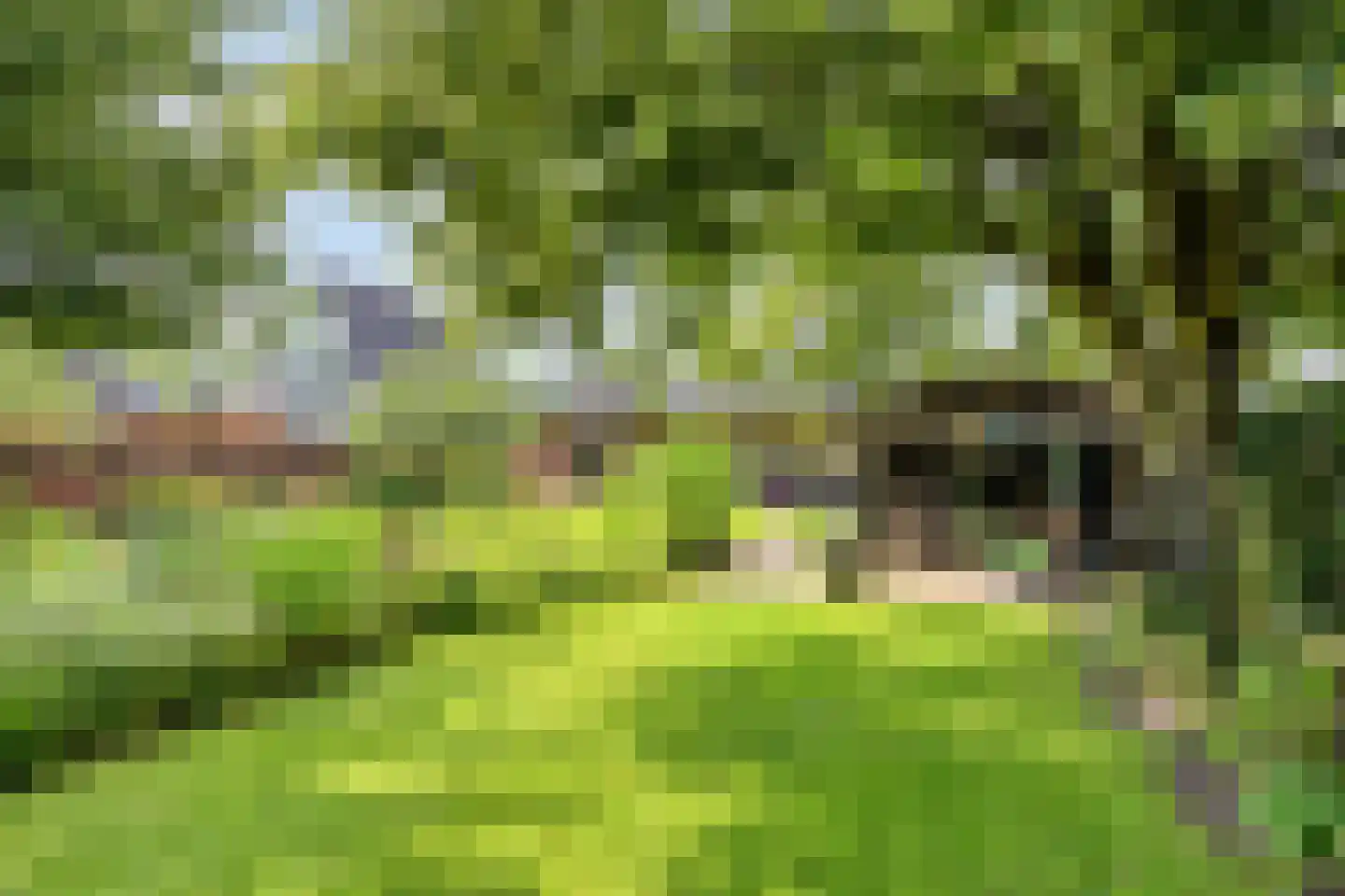 Princenhil 7 Lage Zwaluwe thumbnail 51