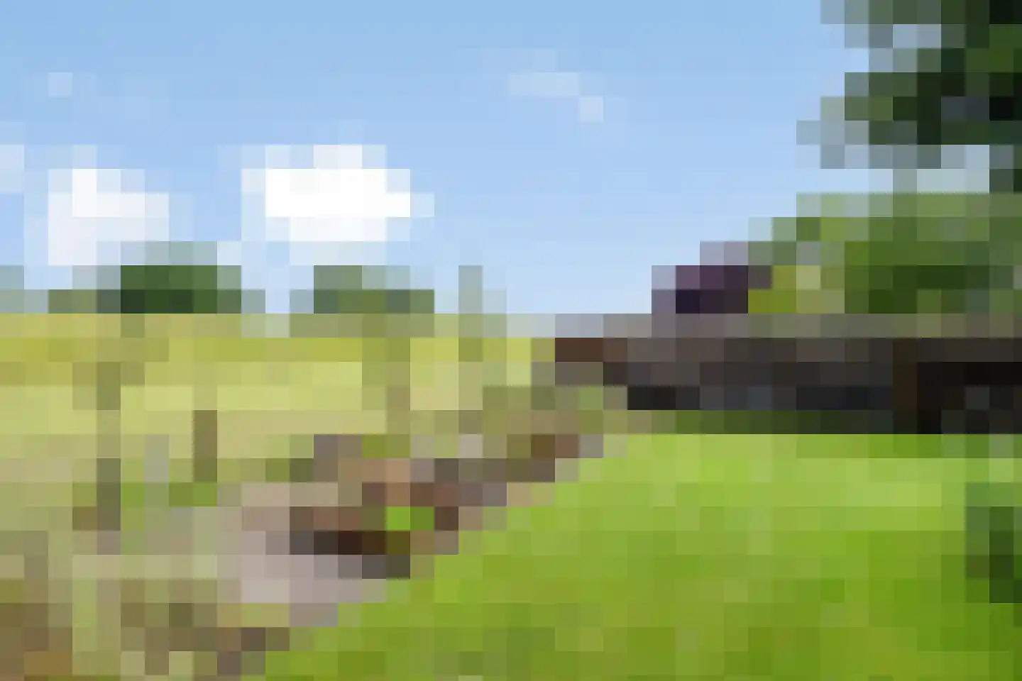 Princenhil 7 Lage Zwaluwe thumbnail 52
