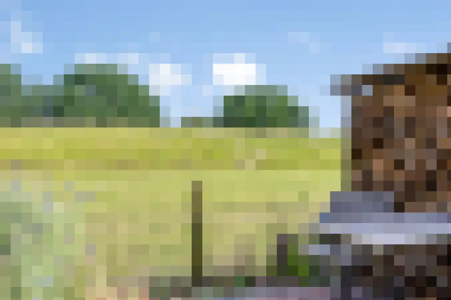 Princenhil 7 Lage Zwaluwe thumbnail 53