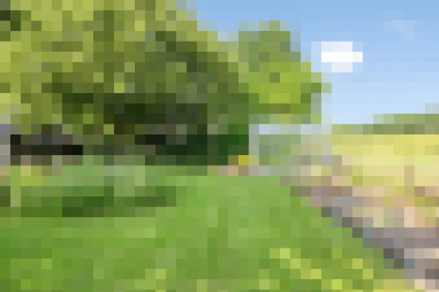 Princenhil 7 Lage Zwaluwe thumbnail 56