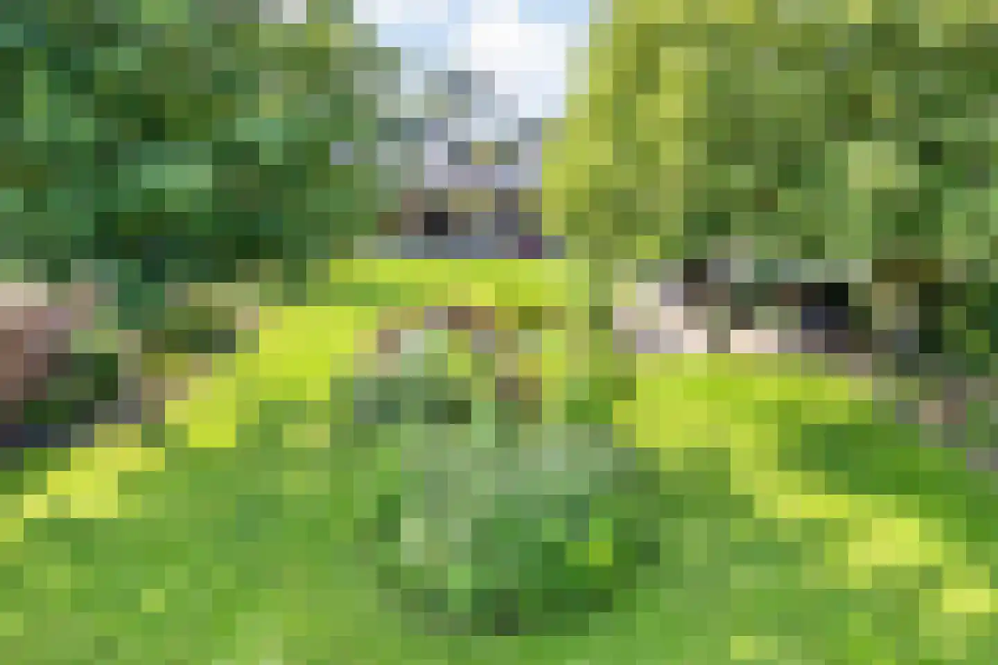 Princenhil 7 Lage Zwaluwe thumbnail 57