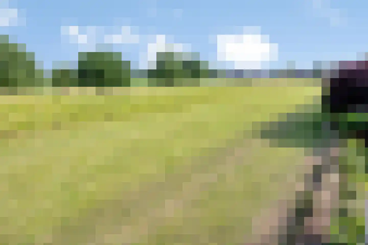 Princenhil 7 Lage Zwaluwe thumbnail 61