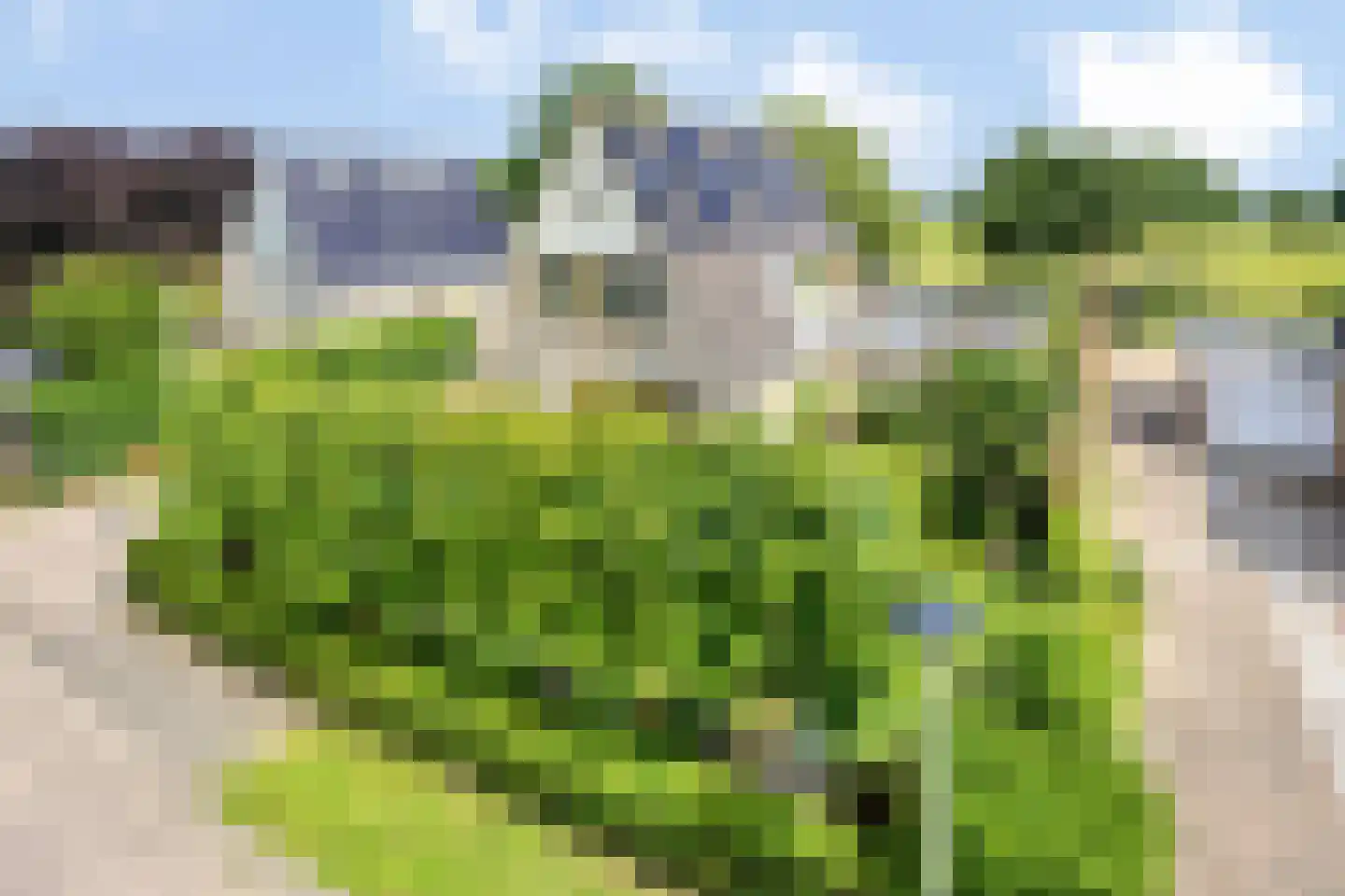 Princenhil 7 Lage Zwaluwe thumbnail 64
