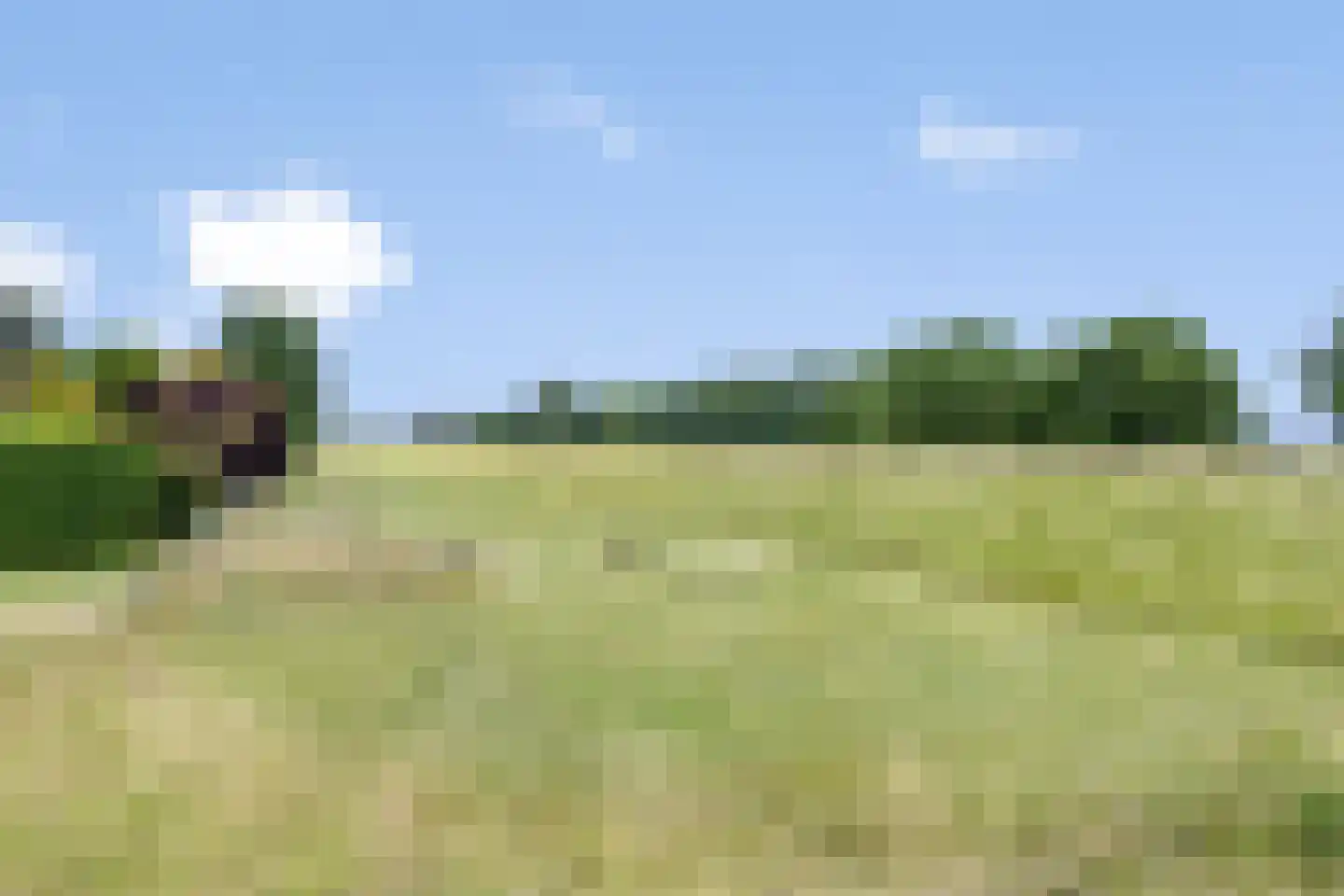 Princenhil 7 Lage Zwaluwe thumbnail 66