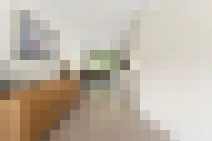 Princenhoff 11 Den Helder thumbnail 15
