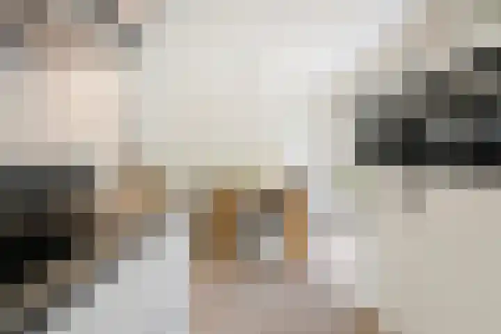 Princenhoff 11 Den Helder thumbnail 19