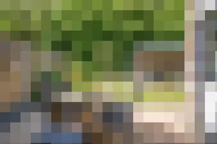 Princenhoff 11 Den Helder thumbnail 26