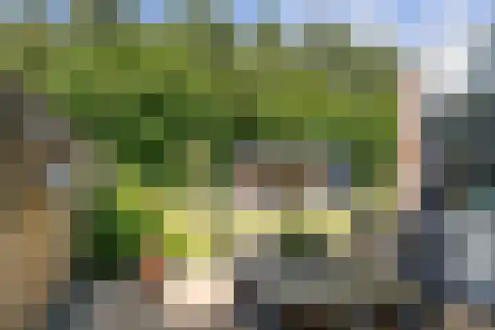 Princenhoff 11 Den Helder thumbnail 27