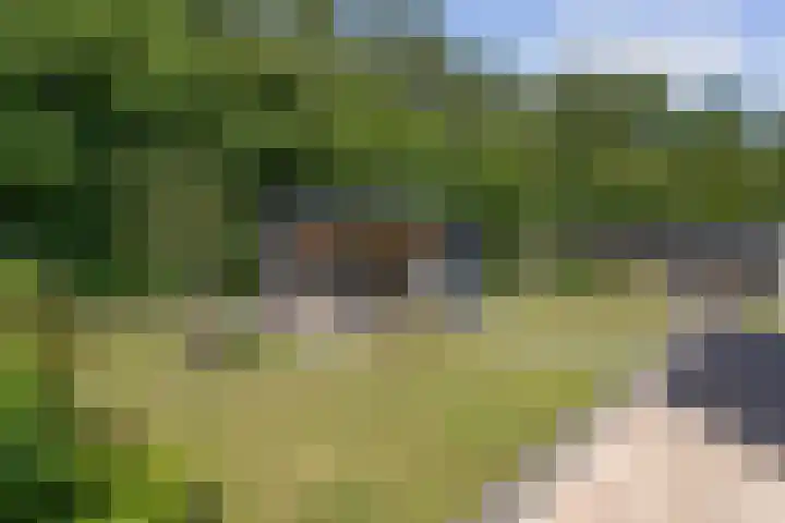 Princenhoff 11 Den Helder thumbnail 28