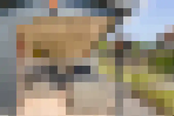 Princenhoff 11 Den Helder thumbnail 29